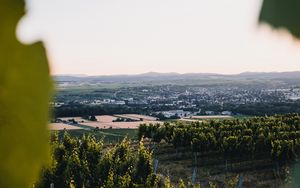 Превью обои виноградники, поля, вид сверху, природа, пейзаж