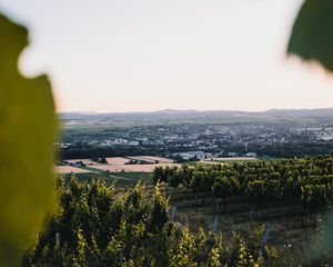 Превью обои виноградники, поля, вид сверху, природа, пейзаж