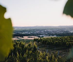 Превью обои виноградники, поля, вид сверху, природа, пейзаж