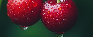 Превью обои вишни, фрукты, капли, роса, макро, красный