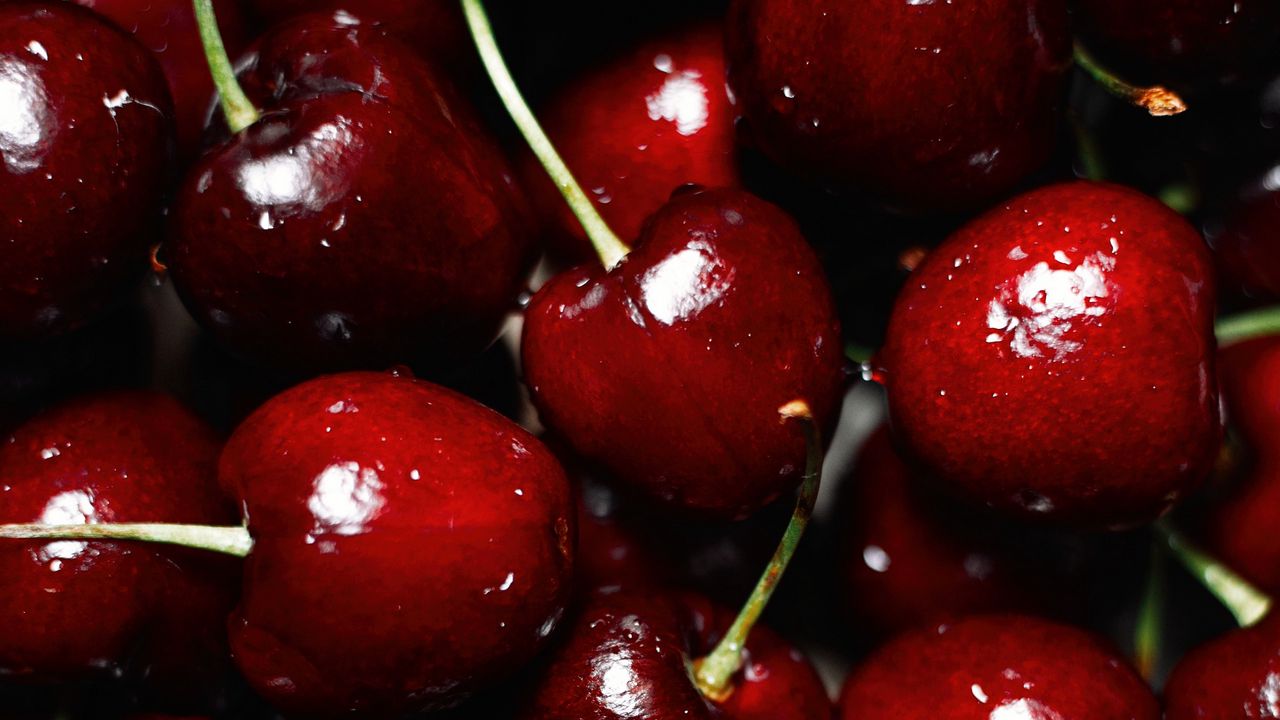 Обои вишни, ягоды, красный, мокрый, спелый