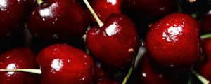 Превью обои вишни, ягоды, красный, мокрый, спелый