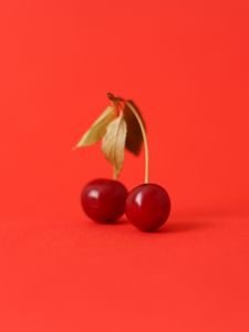 Превью обои вишня, фрукт, ягода, красный, лист
