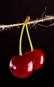 Превью обои вишня, ягоды, красный, нитка