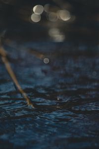 Превью обои вода, блики, круги, ветки