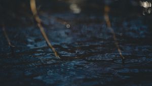 Превью обои вода, блики, круги, ветки
