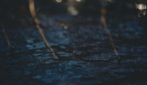 Превью обои вода, блики, круги, ветки