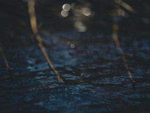 Превью обои вода, блики, круги, ветки