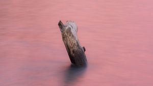 Превью обои вода, бревно, розовый, минимализм, природа