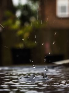 Превью обои вода, брызги, капли, макро, размытие