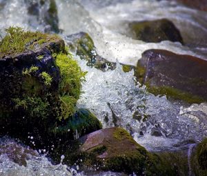 Превью обои вода, брызги, река, мох, камни, капли