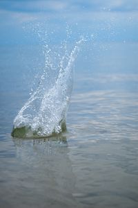 Превью обои вода, брызги, всплеск, капли, макро