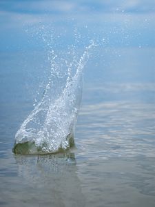 Превью обои вода, брызги, всплеск, капли, макро