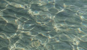 Превью обои вода, дно, рельеф, блики