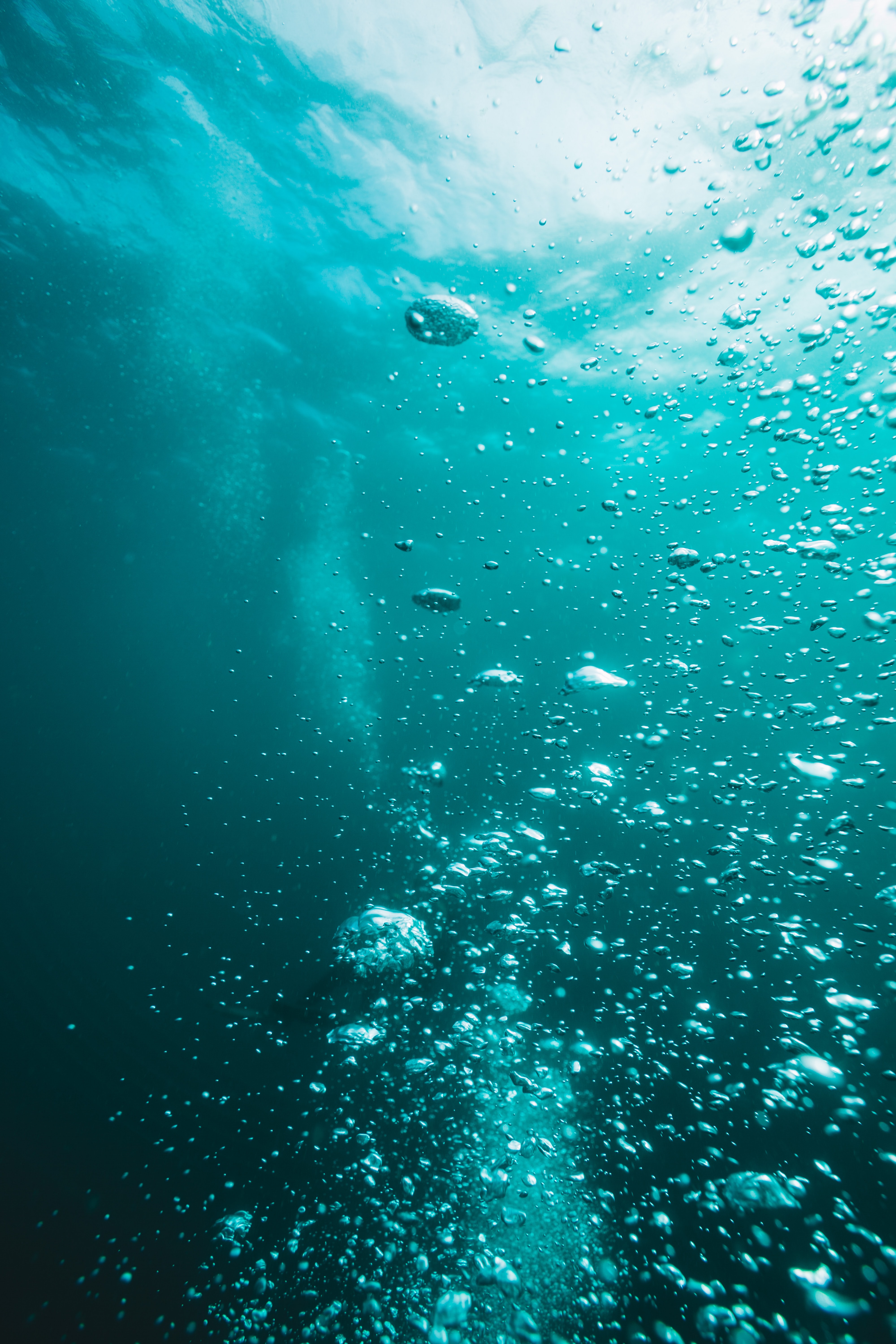 Картинки под водой. Под водой. Под. Море под водой. Океан под водой.