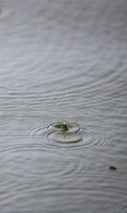 Превью обои вода, капля, рябь, макро