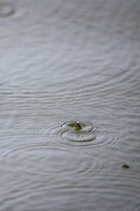 Превью обои вода, капля, рябь, макро
