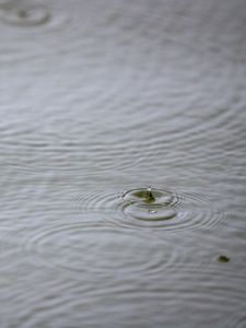 Превью обои вода, капля, рябь, макро