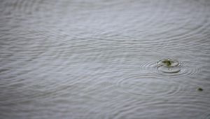 Превью обои вода, капля, рябь, макро