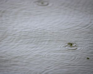 Превью обои вода, капля, рябь, макро