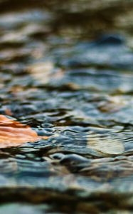 Превью обои вода, лист, рябь, волнение