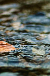 Превью обои вода, лист, рябь, волнение