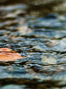 Превью обои вода, лист, рябь, волнение