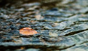 Превью обои вода, лист, рябь, волнение