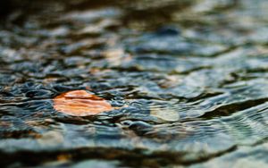 Превью обои вода, лист, рябь, волнение