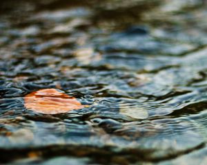 Превью обои вода, лист, рябь, волнение