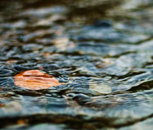 Превью обои вода, лист, рябь, волнение