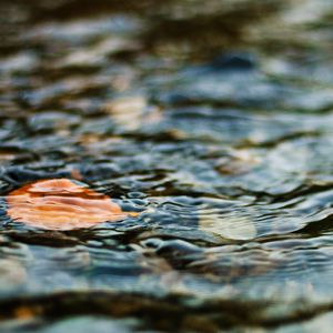 Превью обои вода, лист, рябь, волнение