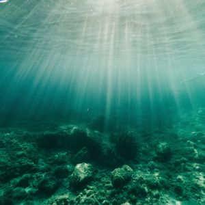 Превью обои вода, лучи, дно, водоросли