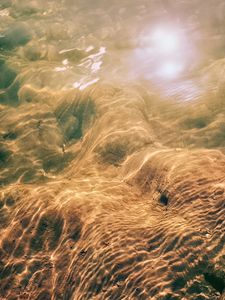 Превью обои вода, морское дно, блики, прозрачный