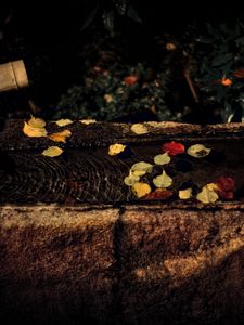 Превью обои вода, осень, опавшая листва, течение