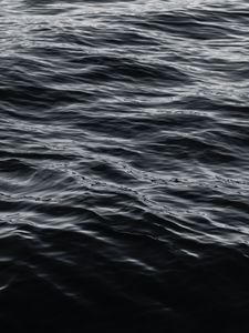 Превью обои вода, поверхность, чб