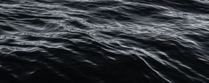 Превью обои вода, поверхность, чб
