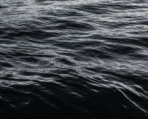 Превью обои вода, поверхность, чб