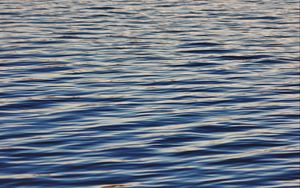 Превью обои вода, поверхность, рябь, волны