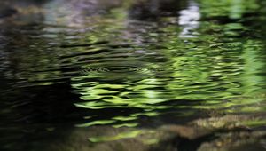 Превью обои вода, пруд, рябь, круги, природа