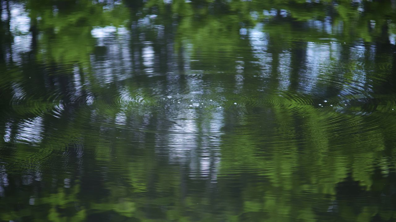 Обои вода, пруд, рябь, круги