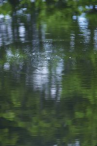 Превью обои вода, пруд, рябь, круги