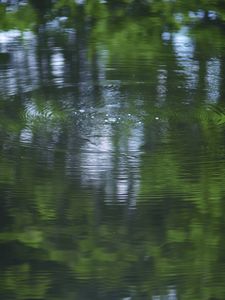 Превью обои вода, пруд, рябь, круги