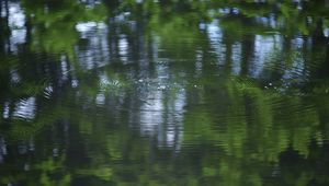 Превью обои вода, пруд, рябь, круги