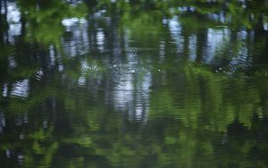 Превью обои вода, пруд, рябь, круги