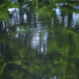 Превью обои вода, пруд, рябь, круги