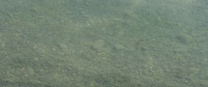 Превью обои вода, река, камни, дно, природа