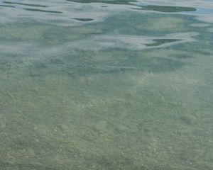 Превью обои вода, река, камни, дно, природа