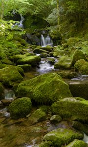 Превью обои вода, река, водопад, камни, мох, зелень, природа