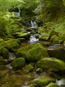 Превью обои вода, река, водопад, камни, мох, зелень, природа